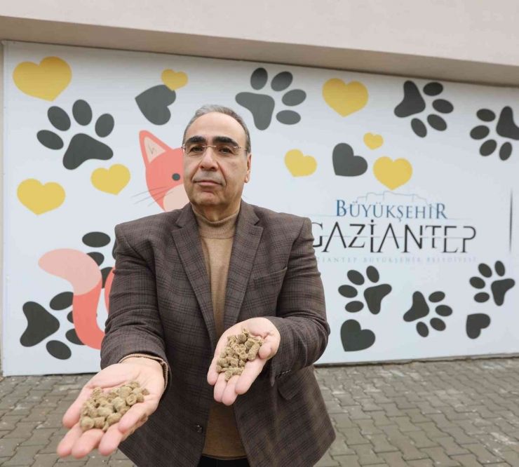 Gastronomi Lezzetleri Sokak Hayvanlarına Mama Olarak Sunuyor