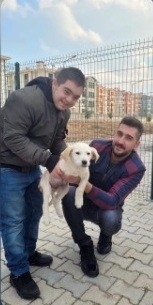 Özel Çocuklar İçin Yavru Köpeklere Kulübe
