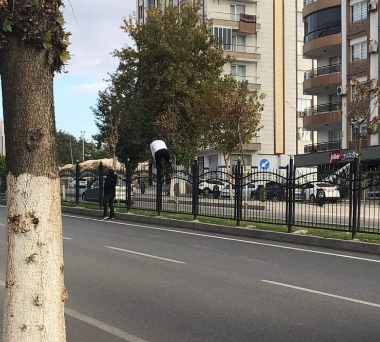 Demir Korkulukları Aşıp Canlarını Hiçe Sayıyorlar