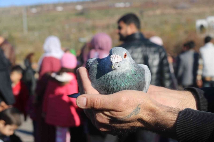 Diyarbakır Semalarına On Bin Güvercin Bırakıldı