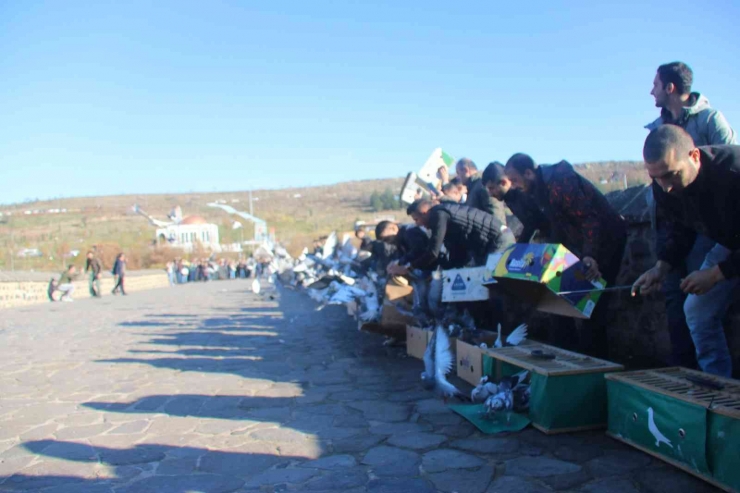 Diyarbakır Semalarına On Bin Güvercin Bırakıldı