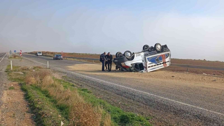 Bariyerlere Çarpan Kamyonet Ters Döndü, Tahıl Yola Savruldu