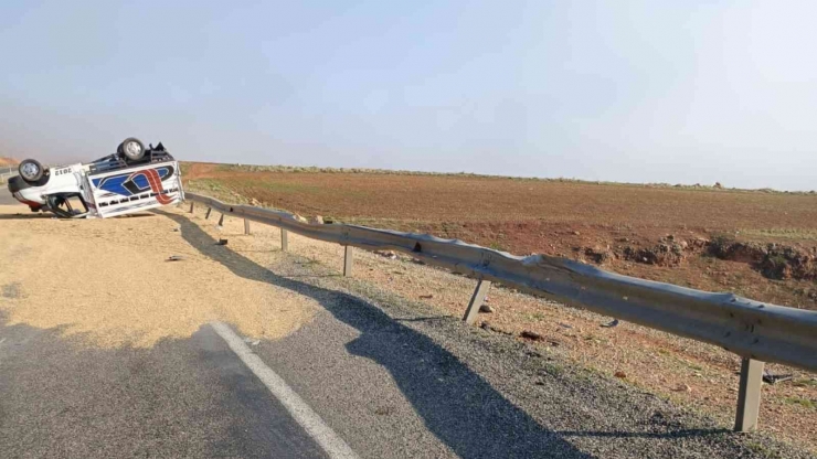 Bariyerlere Çarpan Kamyonet Ters Döndü, Tahıl Yola Savruldu