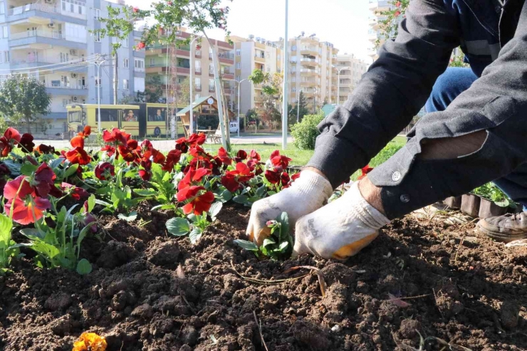 Haliliye’de Peyzaj Çalışmaları İle Parklar Yeşilleniyor