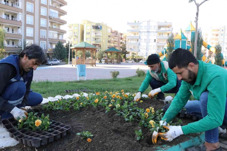 Haliliye’de Peyzaj Çalışmaları İle Parklar Yeşilleniyor