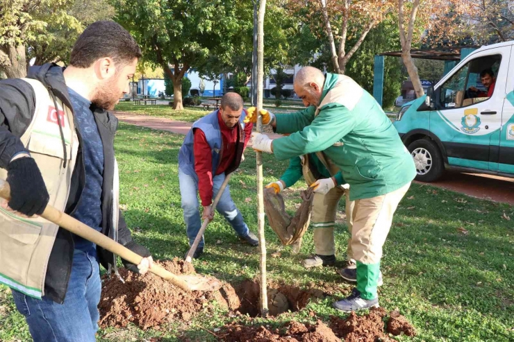 Haliliye’de Peyzaj Çalışmaları İle Parklar Yeşilleniyor