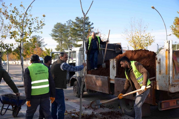 Siverek’te Ağaçlandırma Çalışması