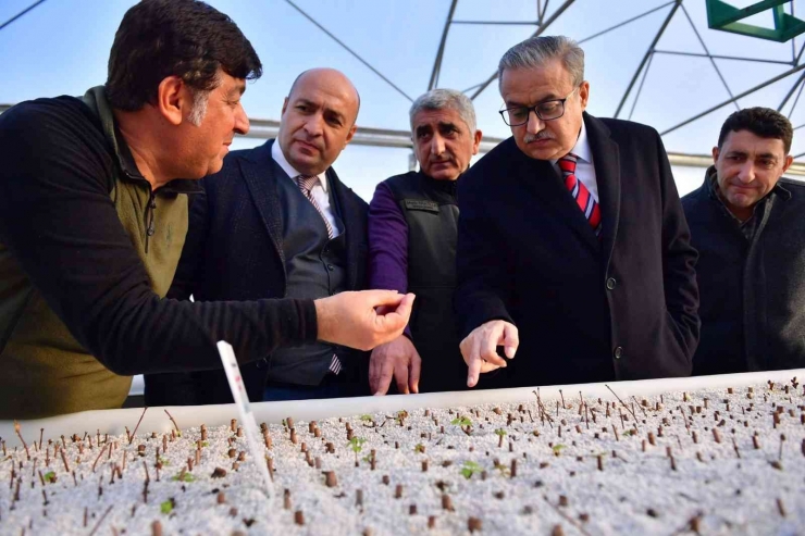 Diyarbakır Valisi Şehrin Ağaçlandırma Çalışmalarını İnceledi