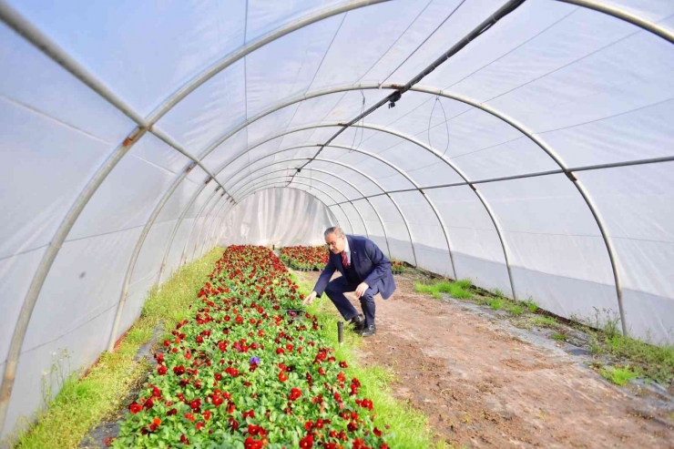 Diyarbakır Valisi Şehrin Ağaçlandırma Çalışmalarını İnceledi