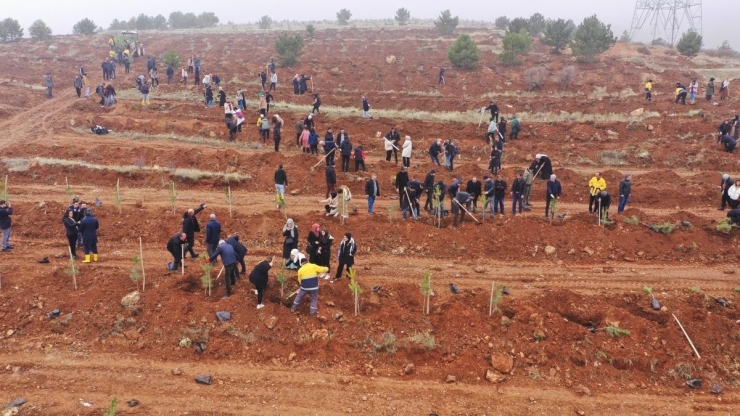 İnönü Üniversitesi’nde Bin Fidan Toprakla Buluşturuldu