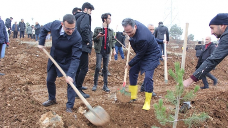 İnönü Üniversitesi’nde Bin Fidan Toprakla Buluşturuldu