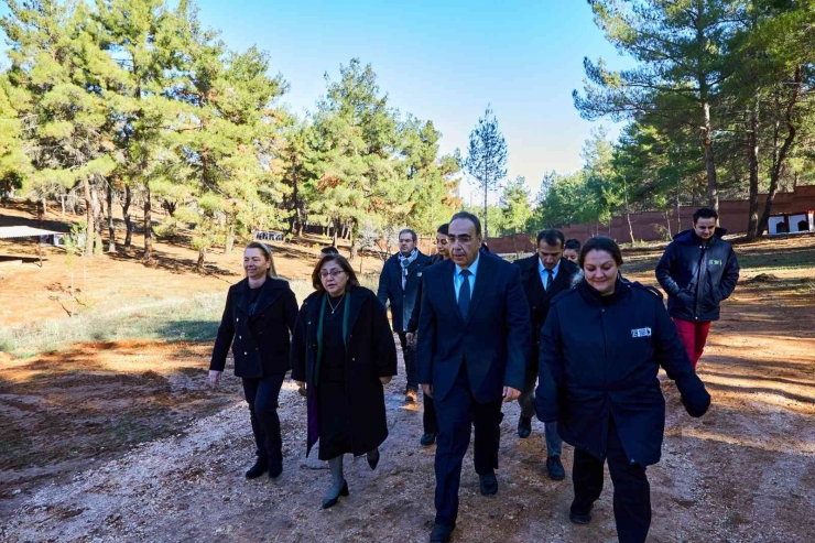 Gaziantep’te Sokak Hayvanlarına Yaşam Alanı