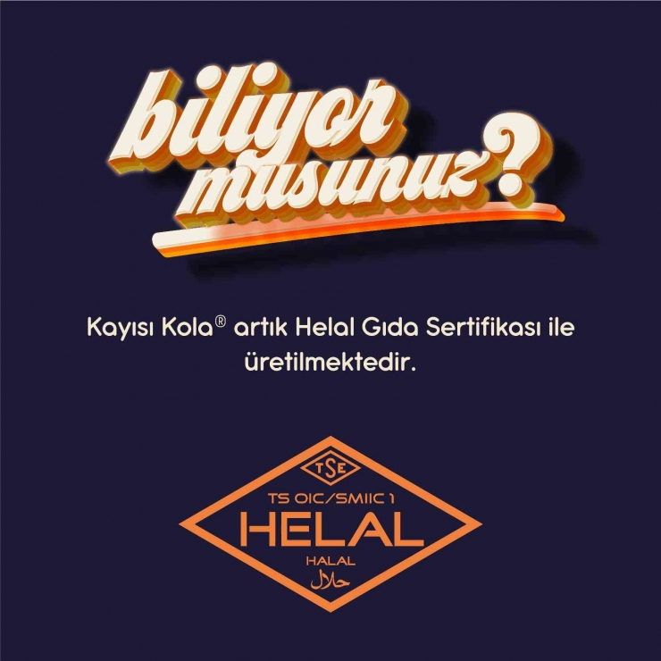 Kayısı Kolaya Yoğun İlgi