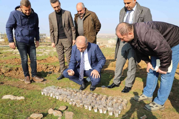 Yenişehir’de Çakmaklı Mahallesi’nin İçme Suyu Sorunu Çözülüyor