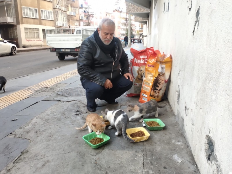 Diyarbakır’da Hayırseverler Destek Veriyor, Sokak Hayvanları Mamasız Kalmıyor