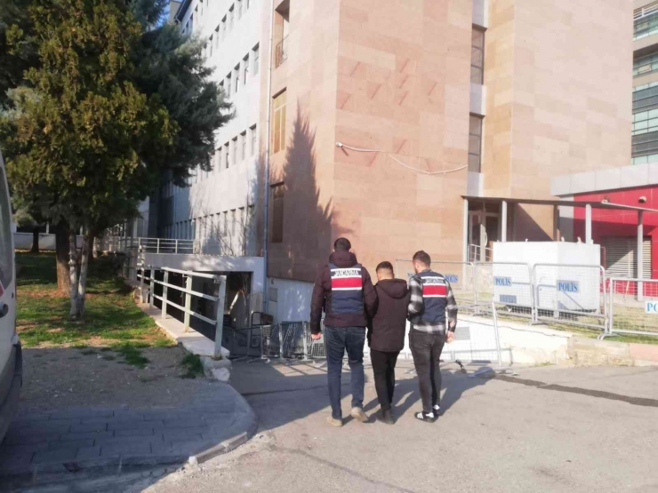 Faili Meçhul Hırsızlık Şüphelilerini Jandarma Yakaladı: 31 Gözaltı