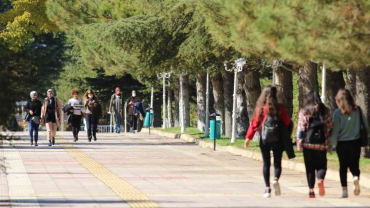 İnönü Üniversitesi Yeşil Kampüste 102 Basamak Yükseldi