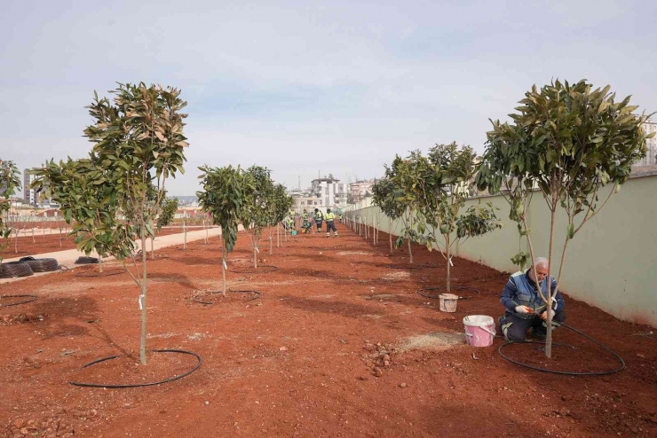 Fadıloğlu: “agro Park’ta Sona Doğru Yaklaşıyoruz”