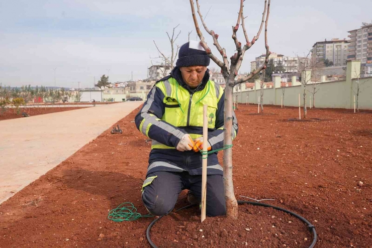 Fadıloğlu: “agro Park’ta Sona Doğru Yaklaşıyoruz”