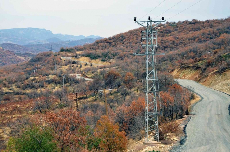 Dicle Elektrik, Kırsaldaki Hizmet Kalitesini Artırmak İçin Çalışmalarını Hızlandırdı