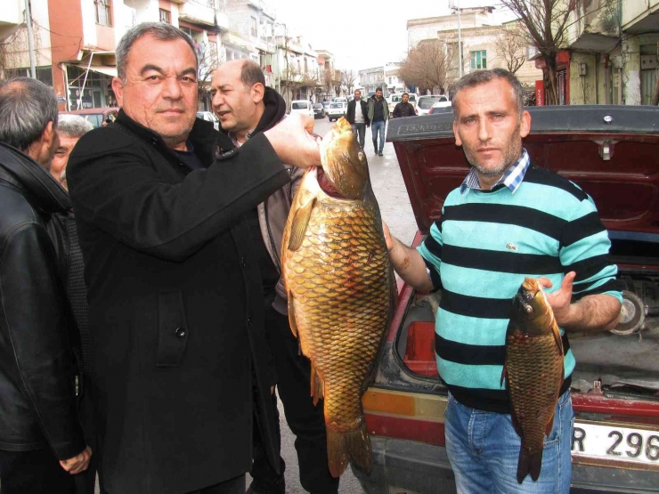 Kebap Diyarında Balık Avlayarak Geçimlerini Sağlıyorlar