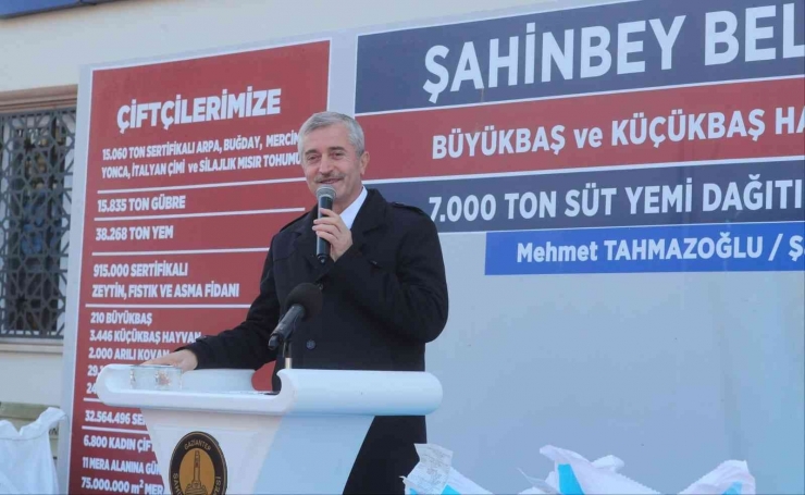 Şahinbey’de Yem Dağıtımı Sürüyor