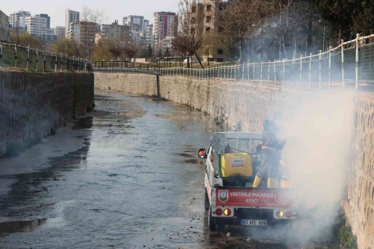 Şanlıurfa’da Vektör İle Mücadele Sürüyor