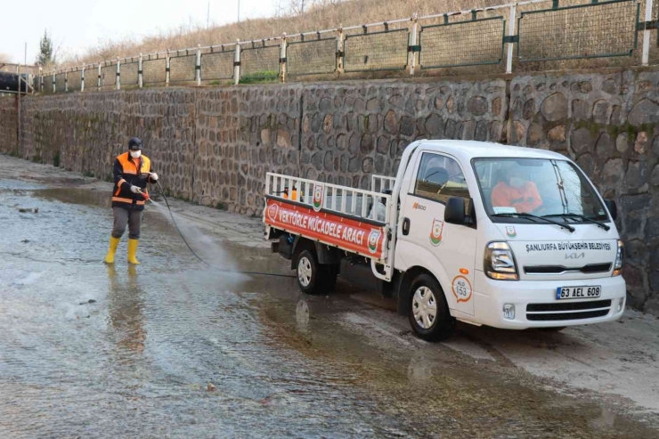 Şanlıurfa’da Vektör İle Mücadele Sürüyor