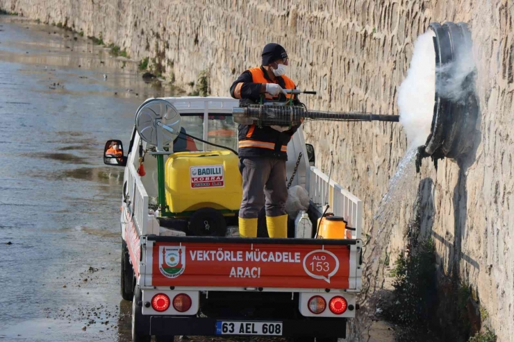 Şanlıurfa’da Vektör İle Mücadele Sürüyor