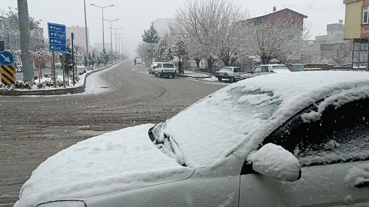 Diyarbakır Kırsalı Beyaza Örtüyle Kaplandı