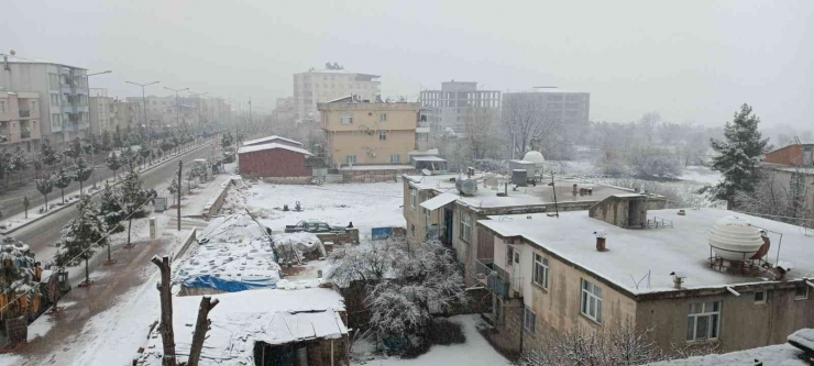 Diyarbakır Kırsalı Beyaza Örtüyle Kaplandı