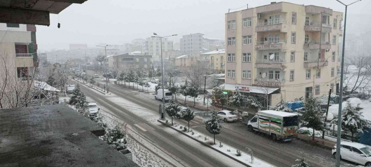 Diyarbakır Kırsalı Beyaza Örtüyle Kaplandı