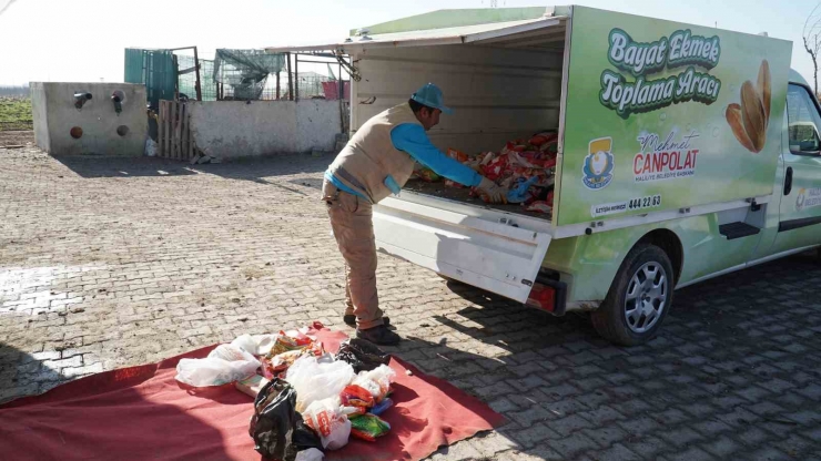 Şanlıurfa’da Günlük Yarım Tonluk Ekmek İsrafı Önleniyor