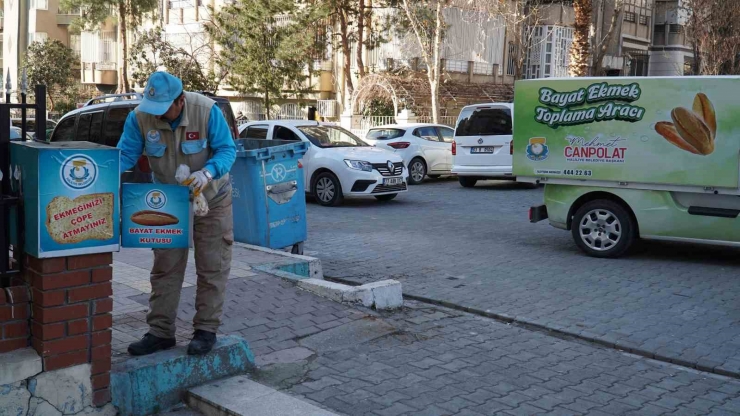 Şanlıurfa’da Günlük Yarım Tonluk Ekmek İsrafı Önleniyor