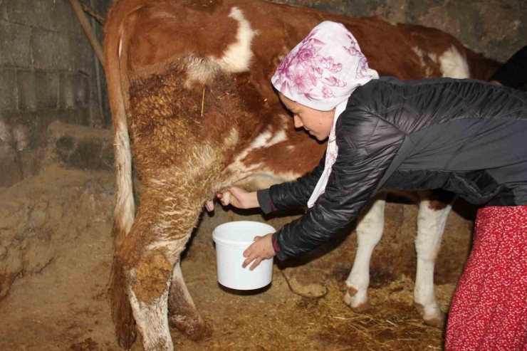 Fransız Turist Çift Köy Hayatını Yaşadı