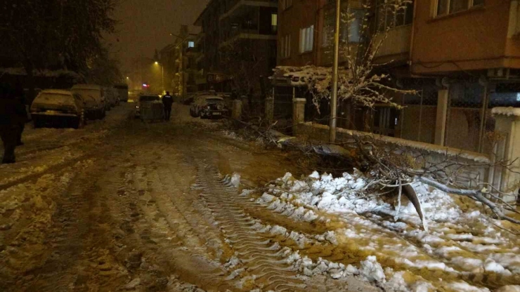 Malatya’da Yoğun Kar Yağışı Ağaçları Devirdi