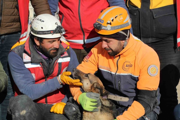 Ezan Okunurken Uluyan Köpek Ve Yavruları, Sesi Fark Eden Görevlilerce Enkazdan Kurtarıldı