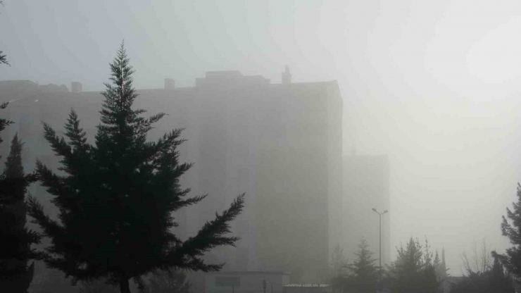 Diyarbakır Güne Yoğun Sisle Uyandı