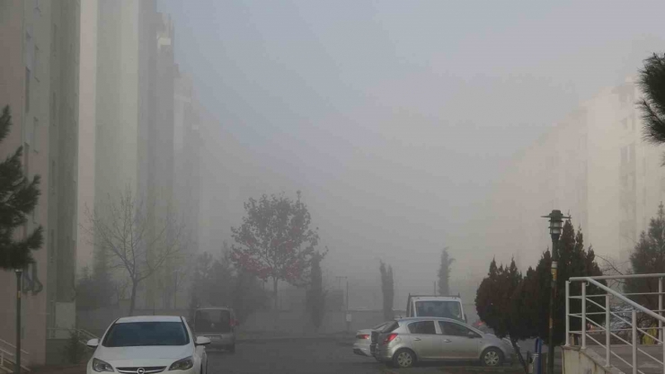 Diyarbakır Güne Yoğun Sisle Uyandı