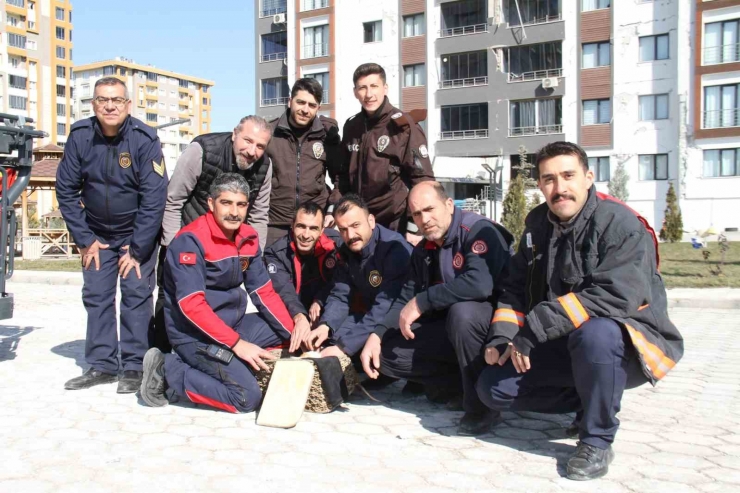 Malatya’da Ağır Hasarlı Binada Mahsur Kalan Kedi Kurtarıldı