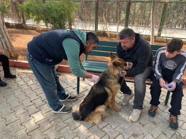 Gaziantep Hayvan Barınağı Depremzede Hayvanları Sahipleniyor