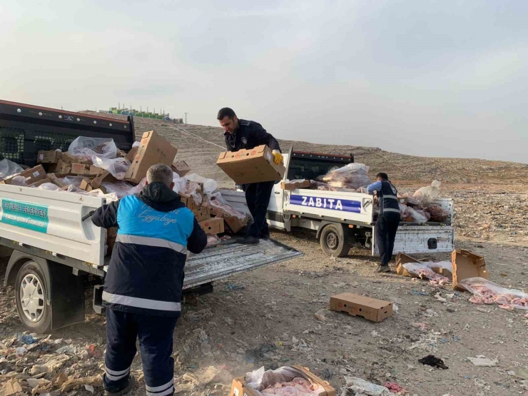Şanlıurfa’da Tarihi Geçmiş Tonlarca Tavuk Eti Ve Sakatat Ele Geçirildi