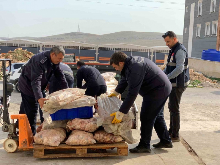 Şanlıurfa’da Tarihi Geçmiş Tonlarca Tavuk Eti Ve Sakatat Ele Geçirildi