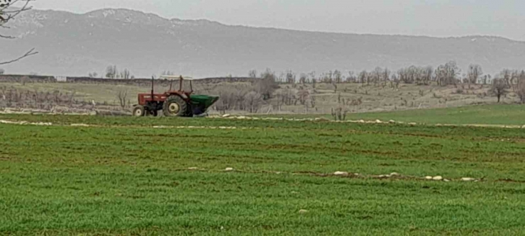 Kulp’ta Çiftçiler Ekinlerini Gübrelemeye Başladı