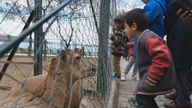 Depremzede Çocuklara Hayvanat Bahçesi Morali