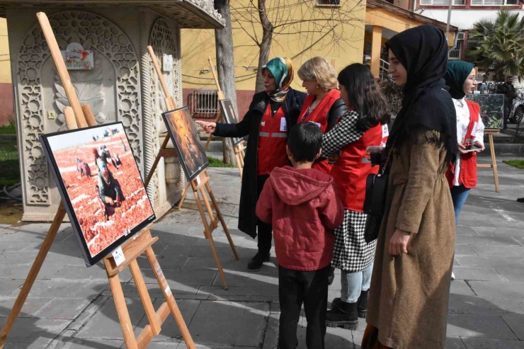 Kadınlar Gününde Depremzedeler Yararına Fotoğraf Sergisi