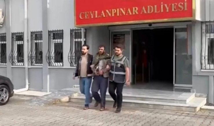 Şanlıurfa’da Uyuşturucu Satıcısı Şafak Operasyonuyla Yakalandı