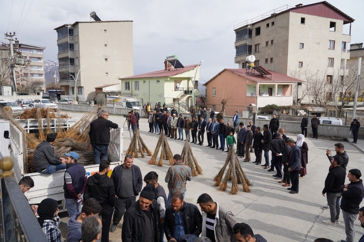 Kulp’ta, İpekböceği Üreticilerine 10 Bin Adet Dut Fidanı Dağıtıldı