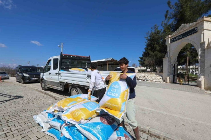 Afetzede Besiciler, 2 Bin Tonluk Yem Desteğinden Memnun