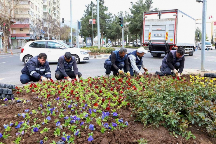 Diyarbakır’da Kent Merkezi Mevsimlik Çiçeklerle Süsleniyor
